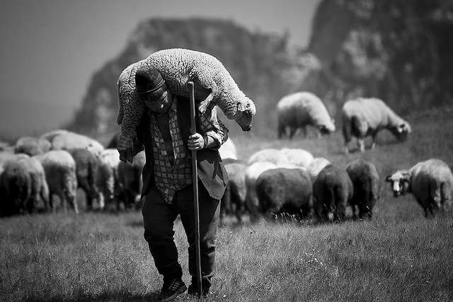 Shepherding God’s People: A Guide to Faithful and Fruitful Pastoral Ministry