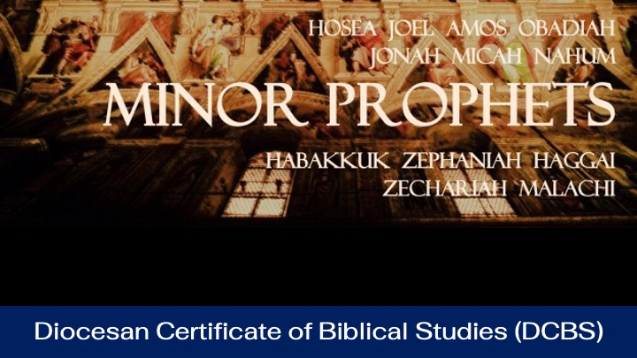 The Minor Prophets (DCBS Module 5)