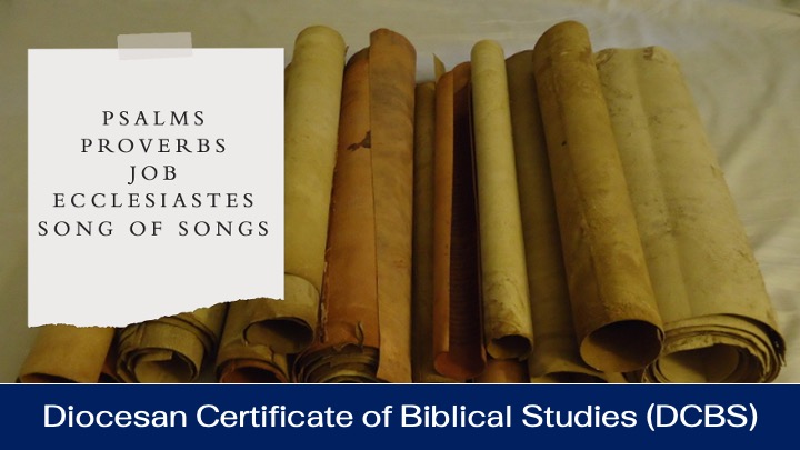 The Writings I (DCBS Module 6)